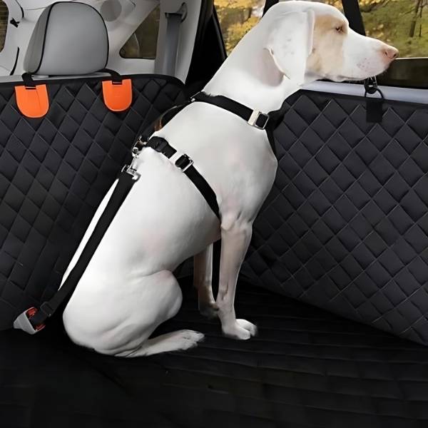 DogSeat™