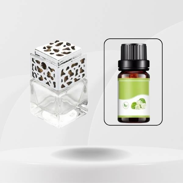 VOITURE DIFFUSEUR - Argent