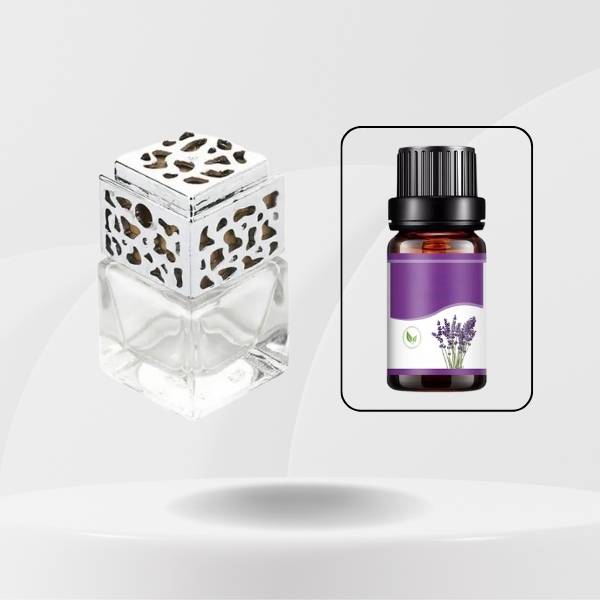 VOITURE DIFFUSEUR - Argent